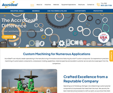 Web Design Portfolio Examples Indiana